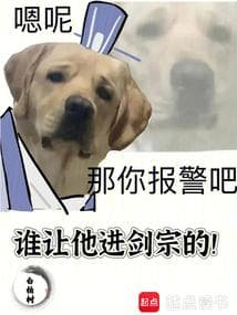 Ai Cho Hắn Gia Nhập Kiếm Phái!